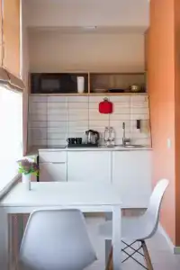 Apartments Nerevsky - 163