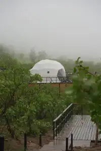 EcoHouse Glamping by Art - 1