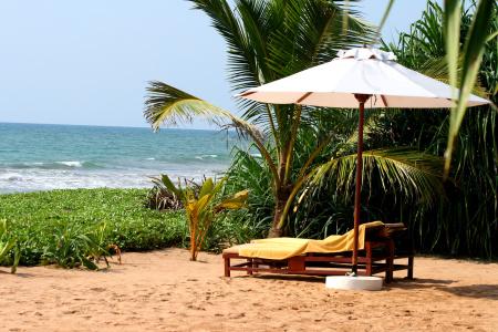 Temple Tree Resort & Spa - 8