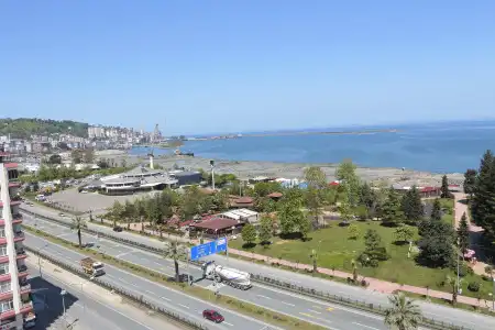 Simal - 3