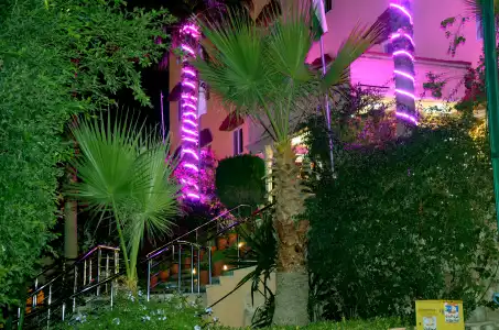 Amra Palace International - 29