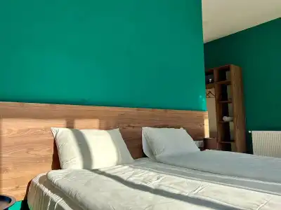 Shushabandi Kazbegi Bed&Breakfast - 20
