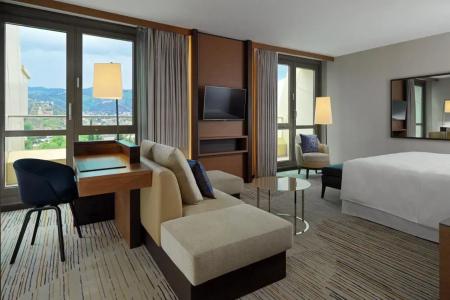 Sheraton Grand Metechi Palace - 10