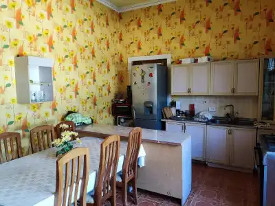 Green House - 19