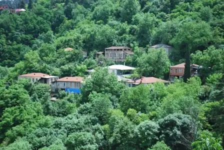 Guest House Central - 9