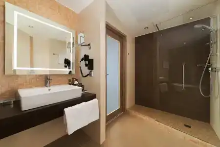 Novotel Moscow Sheremetyevo Airport - 68