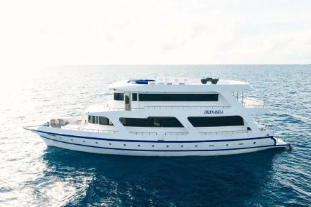 The Maverick Surf and Dive Boutique - 7