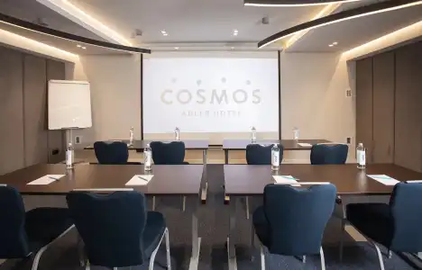 Cosmos - 41