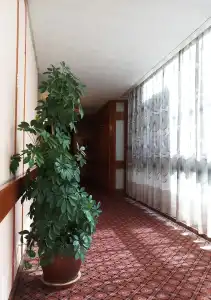 Oriental Palace - 16