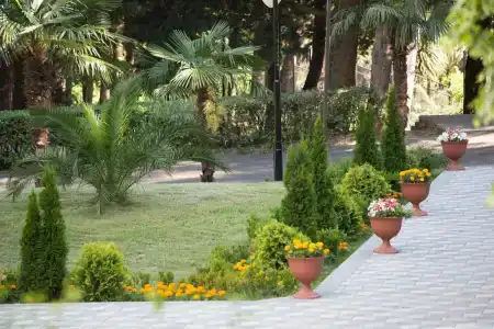 Grenada Pension - 23