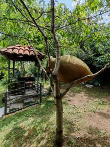 Qilimcha's Guest House - 122