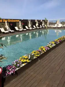Paradice Luxury Suites-Near Zorbas Beach-Free Breakfast - 11