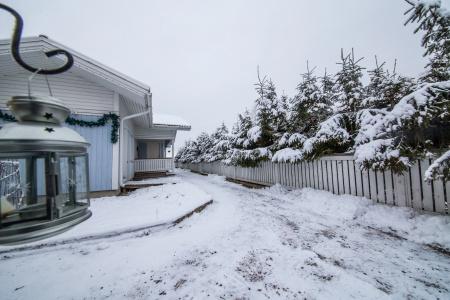 Arctic Resort Delight - 10