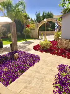 Paradice Luxury Suites-Near Zorbas Beach-Free Breakfast - 14