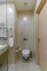 Intourist Kolomenskoe - 106