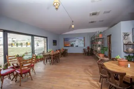 Boutique Green Sheep - 17