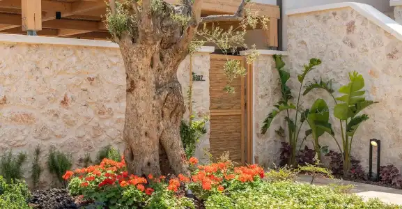 Radisson Blu, Kas (Adult Only 12+) - 98