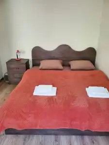 Dioscuria Borjomi Guest House - 38