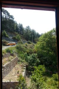Sun Dalyan & Yeni Adet Organic - 50