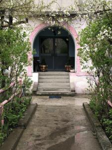 Dom Polski Guest House - 2