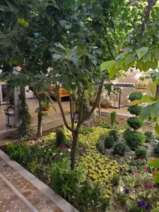 Nursultan Grand Guest House - 1
