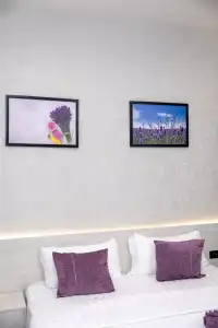 "Lavanda" - 14