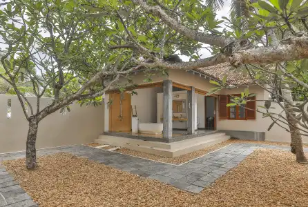 The Frangipani Tree by Edwards Collection - 72