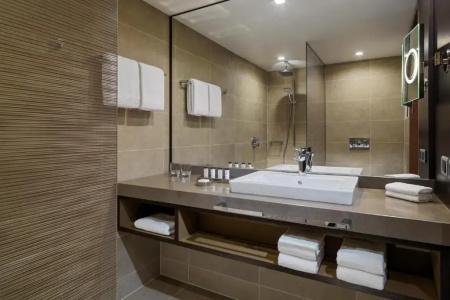 Sheraton Grand Metechi Palace - 48