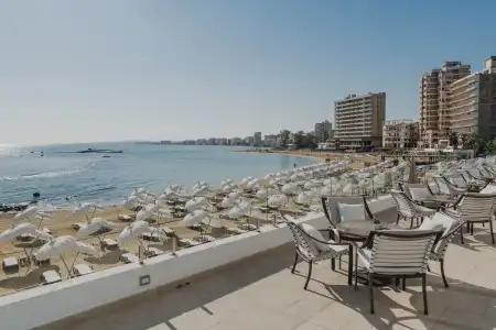 Arkin Palm Beach - 15