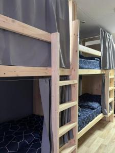 Samsonov Mini-on Stachek Avenue - 81