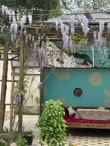 Zahid Inn - 29
