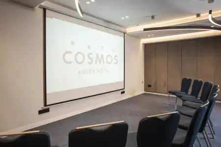 Cosmos - 44