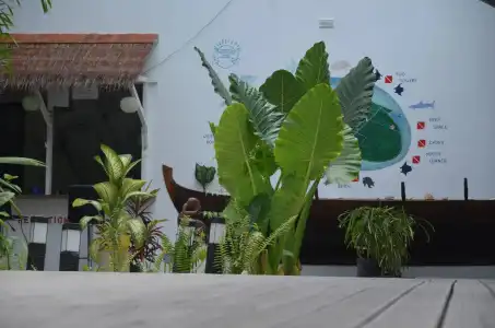 Dive Villa - 5