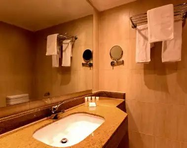 The Grand Plaza - 52