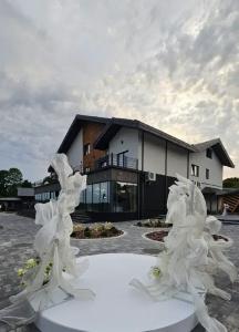 Park-otel "ProLive" - 2