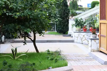 Paradiz - 38