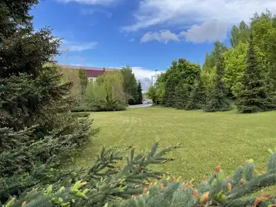 Sokol - 2