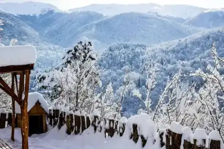 Popock Dilijan 1 - 12