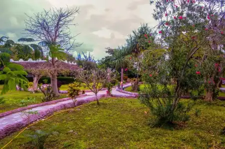 Zanzi Rest Bungalow - 15