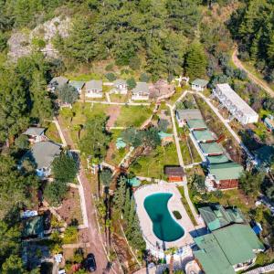 Olympos Angels Garden - 2