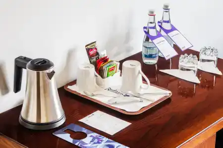 Radisson Blu Tashkent - 43