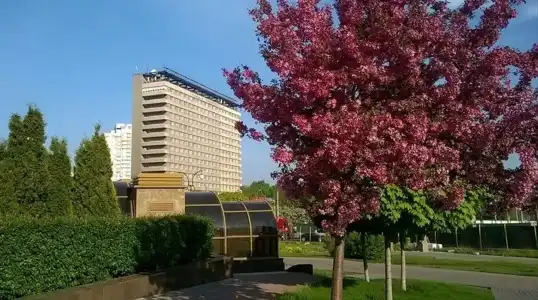 Universitetskaya - 1