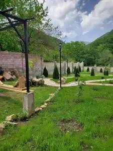 Dioscuria Borjomi Guest House - 5