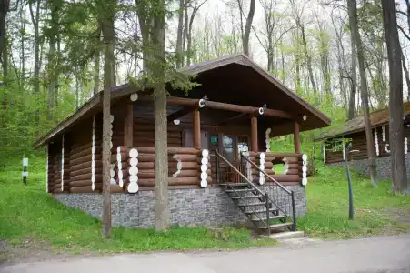 Just Wood recreation - 99