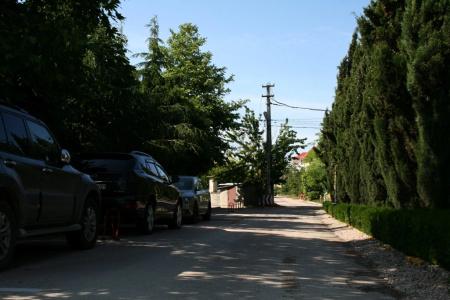 Myis - 24
