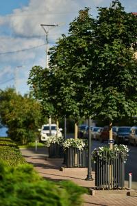 Sakvoyazh impressions - 7