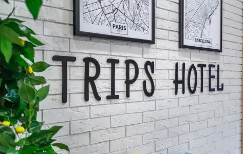 Trips - 13
