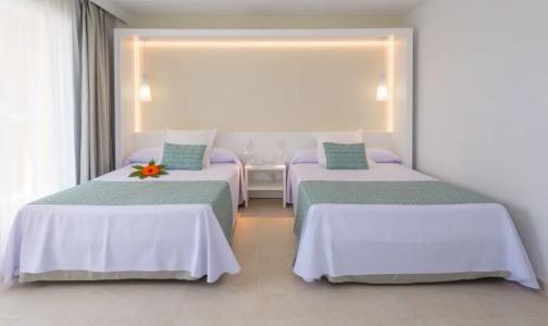 Gran Peñiscola - 16