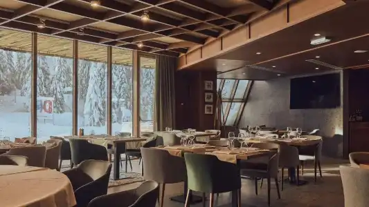 Grey Kopaonik - 6