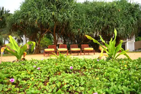 Temple Tree Resort & Spa - 19